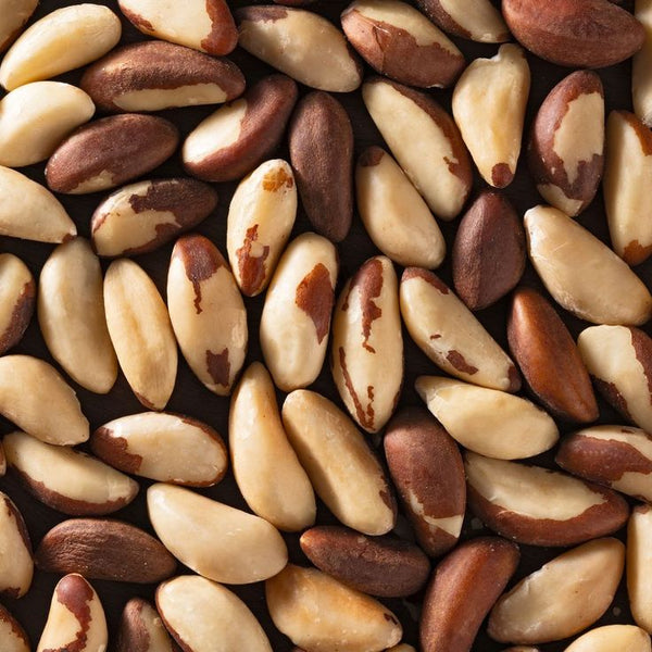 Brazil Nut