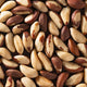 Brazil Nut