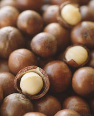Macadamia Nut Shell