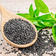 Basil Seeds