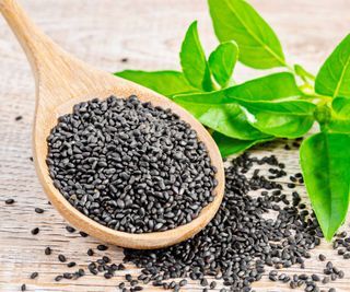 Basil Seeds