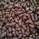 Safawi (Kalmi) Dates Big