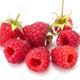 Rasberry