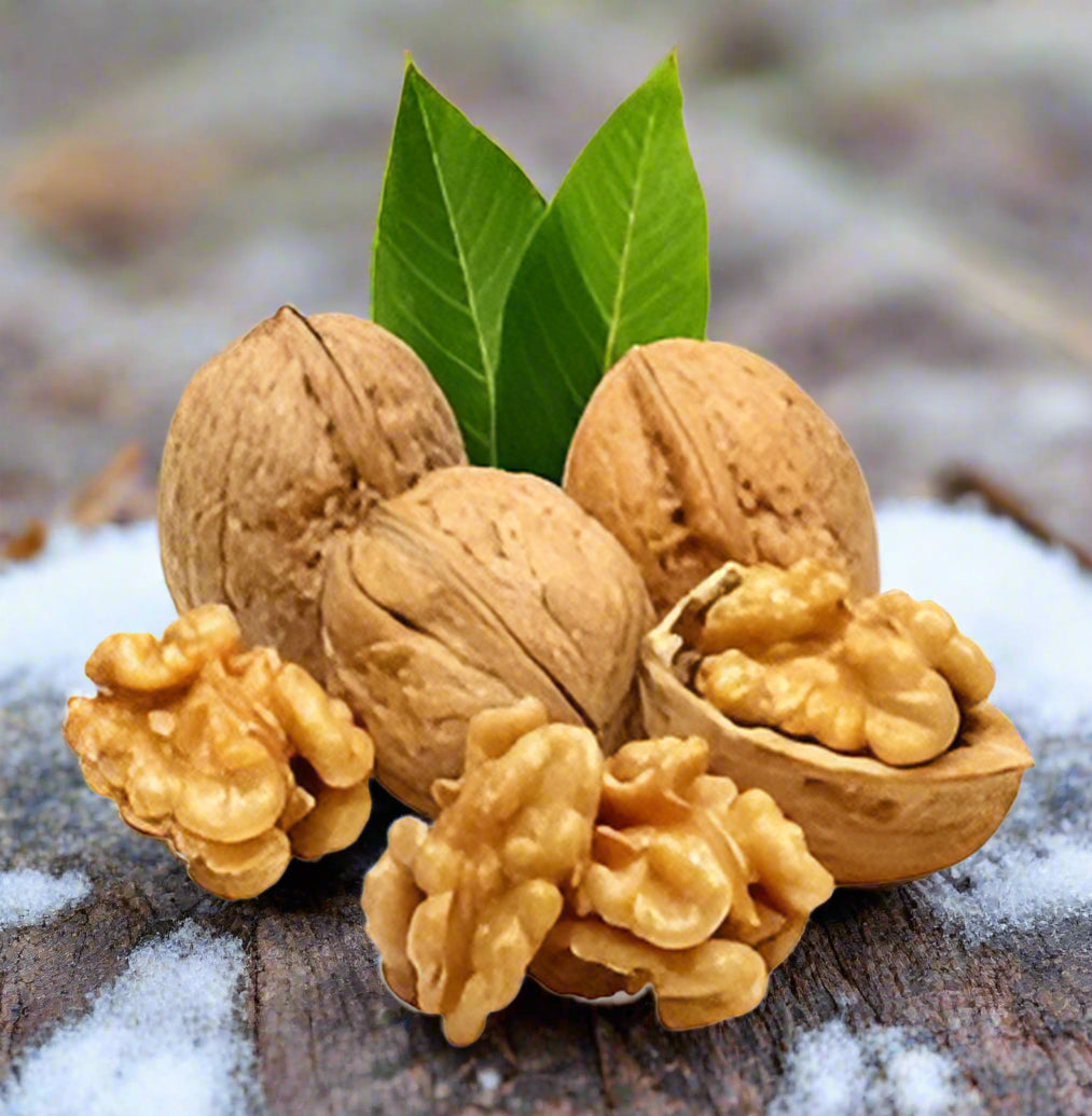 Walnuts (Kashmir) slipts